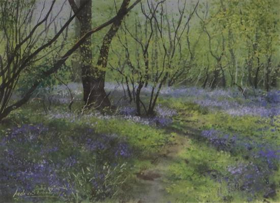 Andrew Dandridge Bluebell Wood 28 x 38cm